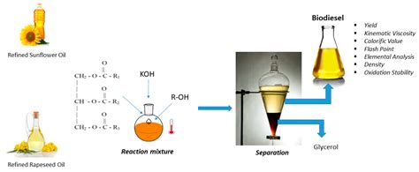 RAPE SEED OIL - A Powerhouse for Biofuels and Lubricants?